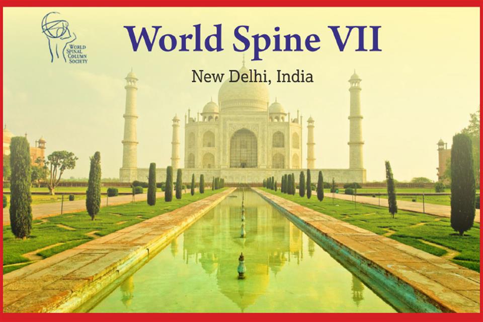 World Spine VII, India